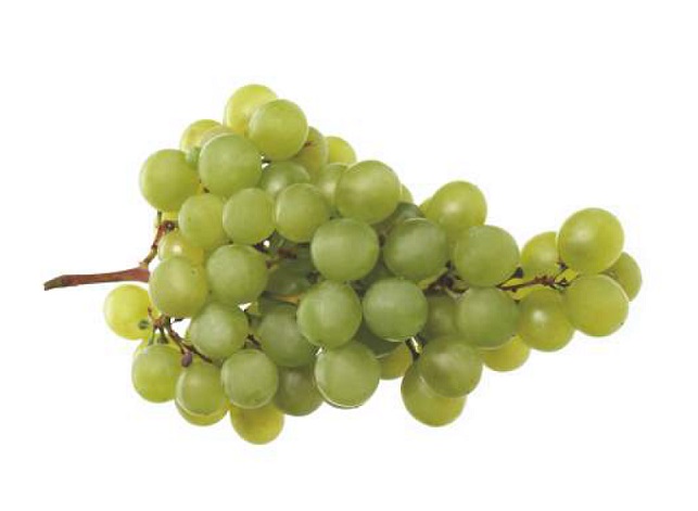 Guía de Vinos II Edición