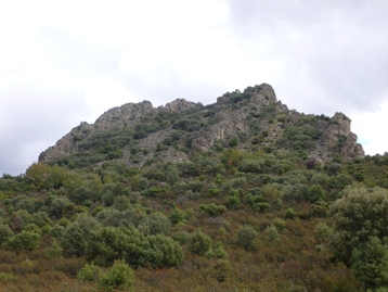 Ejemplo de Bosque Mediterraneo