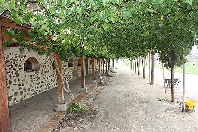  Varias