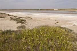 Laguna de Tirez