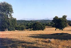 Valle del Tiétar