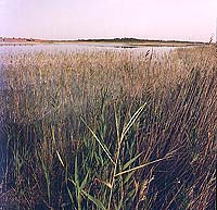 Lagunas de Villafranca