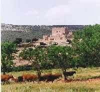 Castillo de Guadalerzas