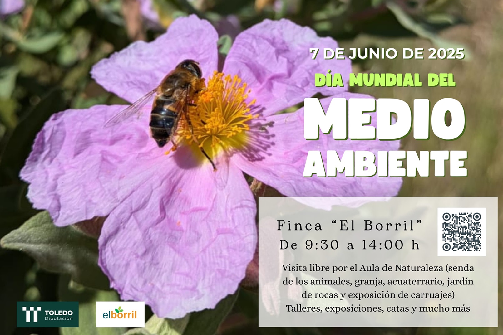 Cartel de la jornada