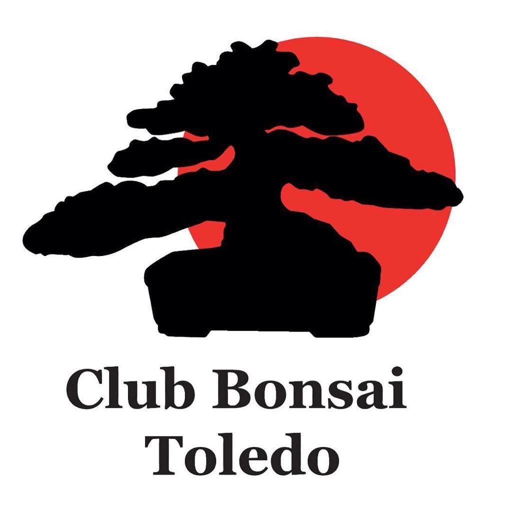 Club Bonsái Toledo