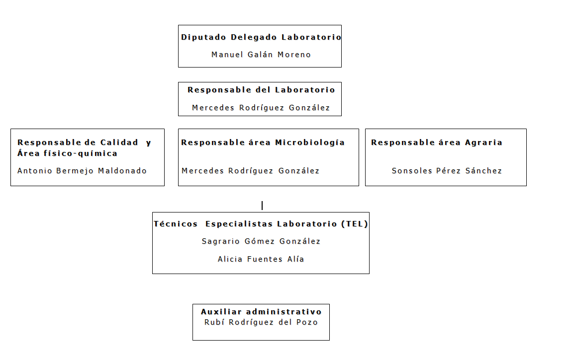 organigrama