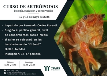 Cartel del curso