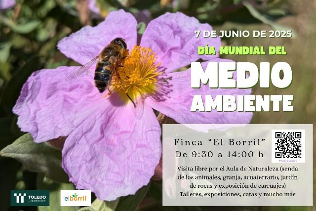 Cartel de la jornada