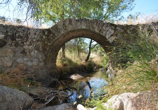 Puente romano (1)