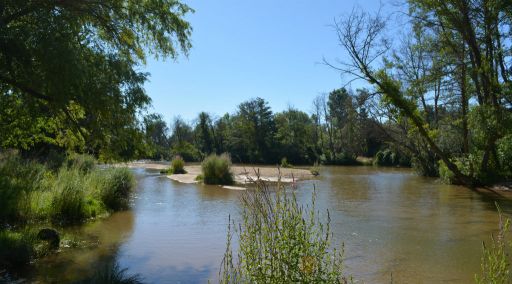 Río Alberche, playas