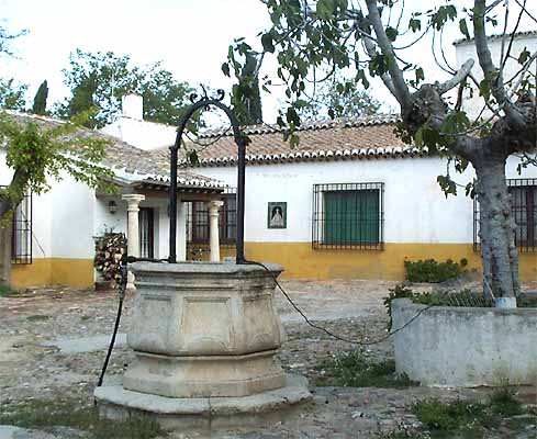 Casa Medrano, pozo (a)