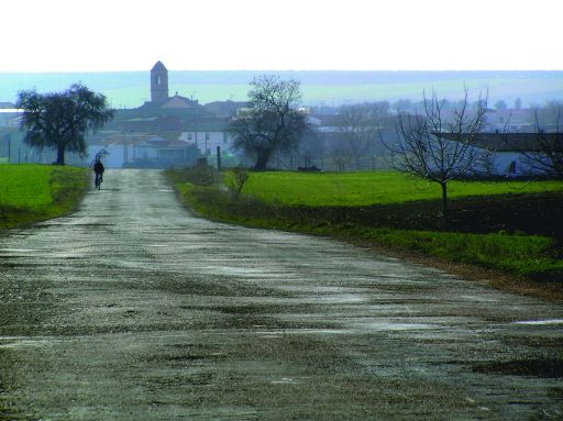 Panorámica (b)