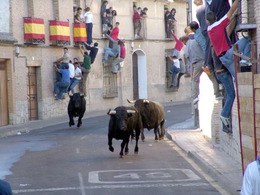 Toros, Encierros de Bargas