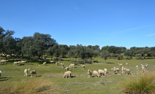 Paraje natural