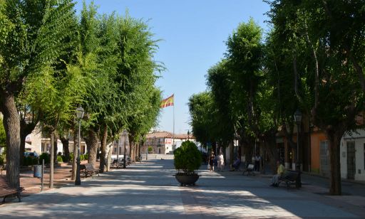 Paseo y homenaje a la bandera