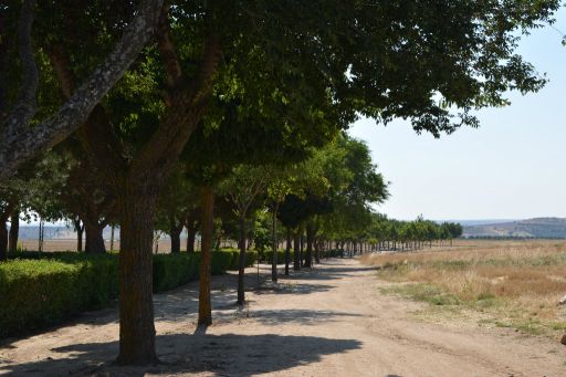 Paraje de la Romería de San Marcos