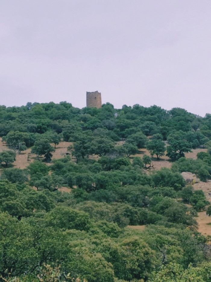 ATALAYA / CERRO DE MALOJO.