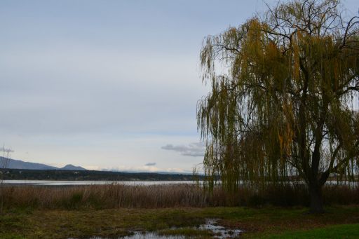 Embalse de Cazalegas, vista 1