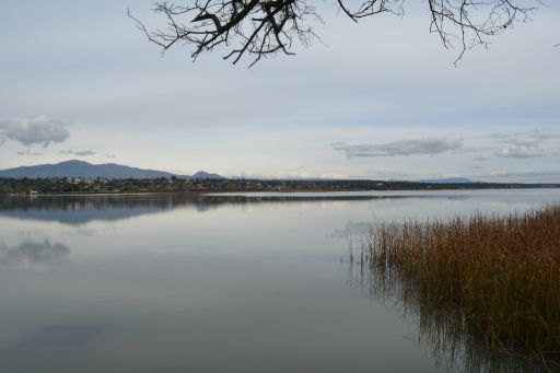 Embalse de Cazalegas, vista 3