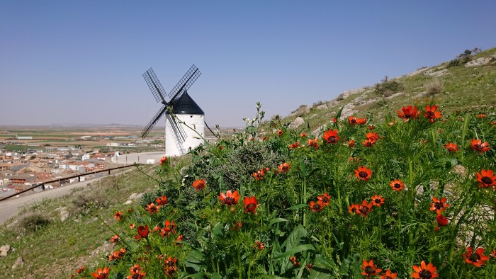 Molinos de Viento