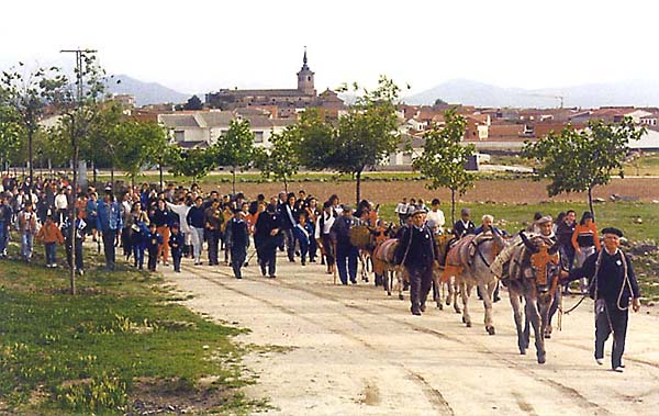 Ruta Arriera Montes de Toledo (b)