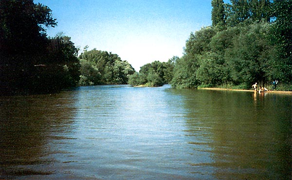 Río Alberche (b)