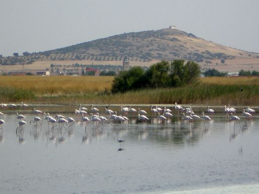 Laguna El Hongar