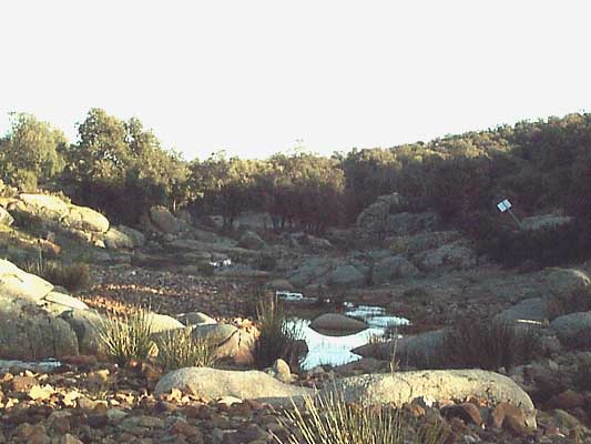 Arroyo del Torcón