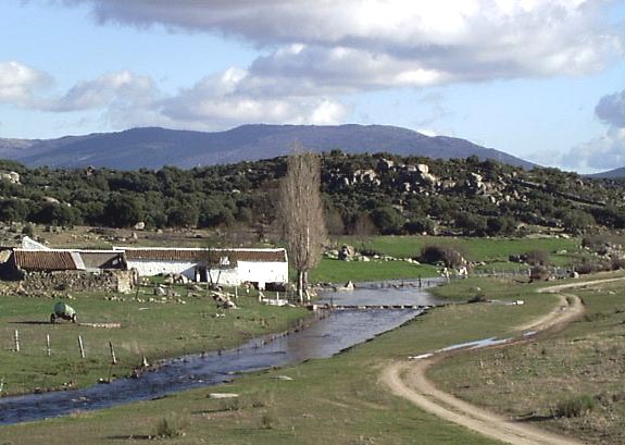 Molino de Villapalos