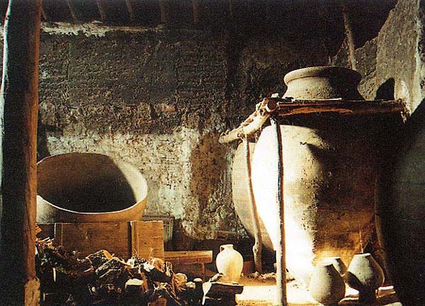 Bodega de vinos