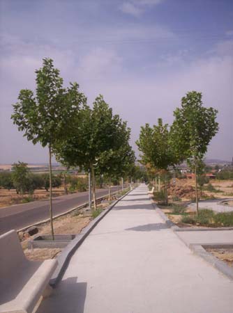 Paseo de la estación