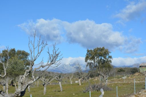 Vista de Gredos