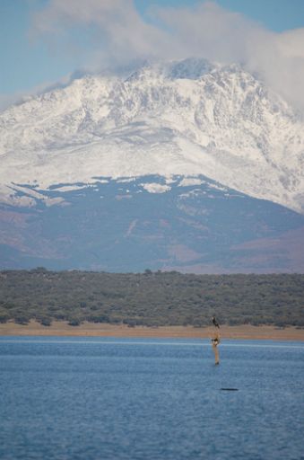 Gredos y embalse (a)