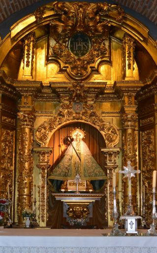 Nuestra Señora de las Saleras, imagen