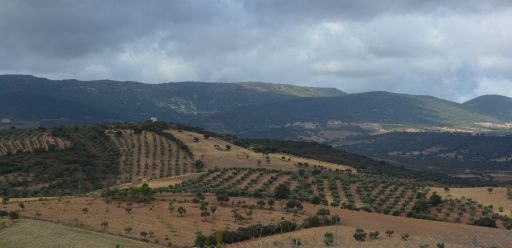 Parajes naturales (4)