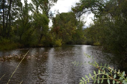 Río Pusa