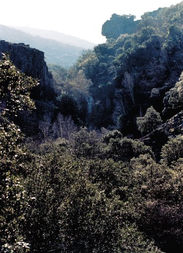 Parajes naturales, valle alto