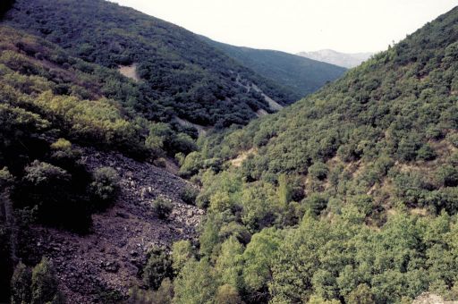 Parajes naturales, valle bajo