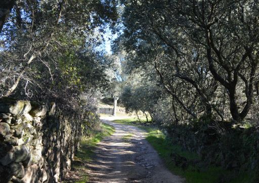 Ermita de la Fuente Santa, camino