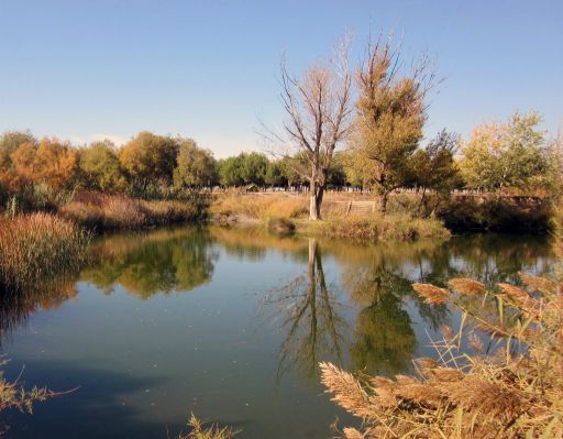 Laguna del Zurrón