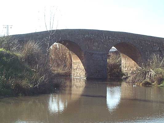 Puente Ajofrín (b)