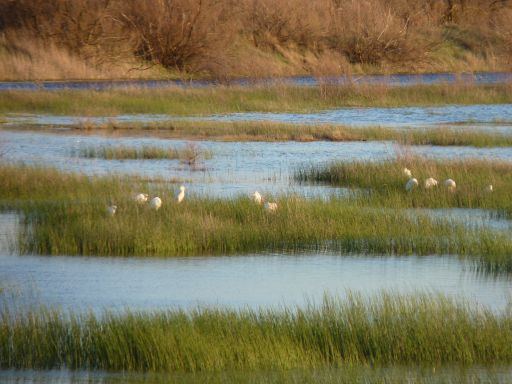 Lago de Taray (2)