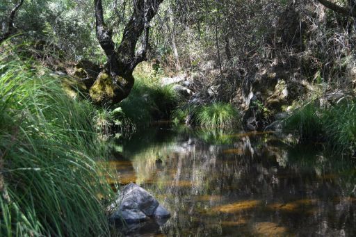 Piedraescrita, arroyo