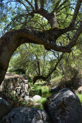 Piedraescrita, paraje natural