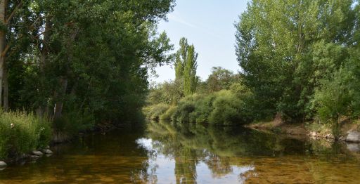 Área recreativa La Cantuérgana (4)