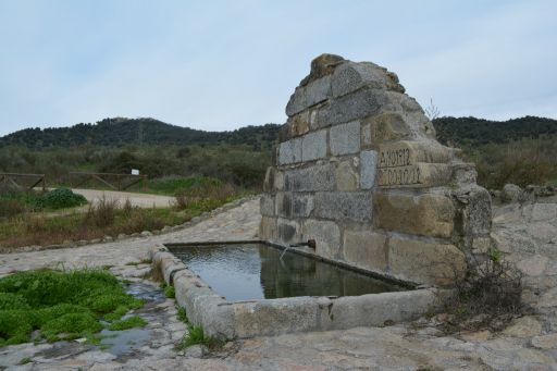 Caño