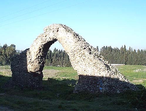 Ruinas Arco Romano (Vega)