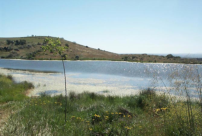 Lago de Tarrarra