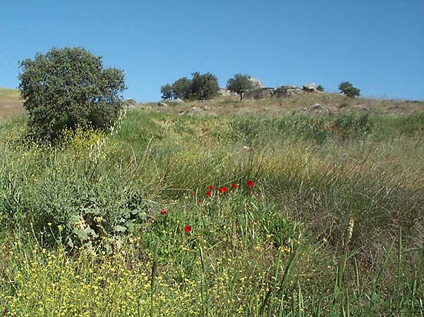 Paisaje de Tarrarra