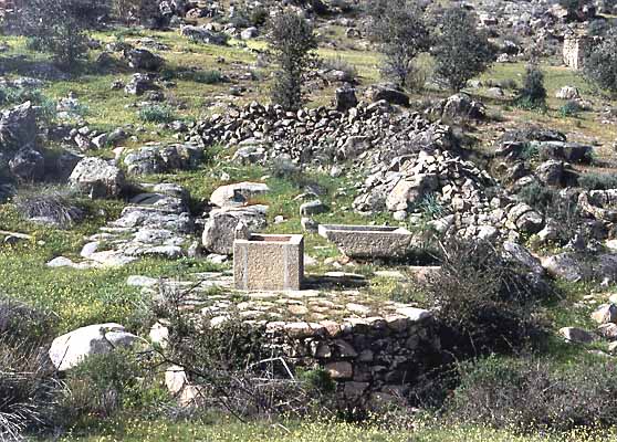 Paraje - Pozos Nuevos -